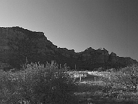 DSC1824 BW